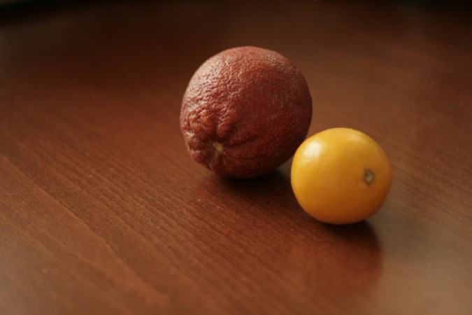 citrus